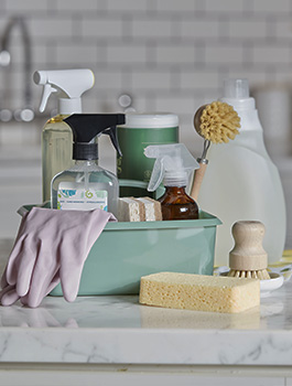 Temizlik Ürünleri Esansı